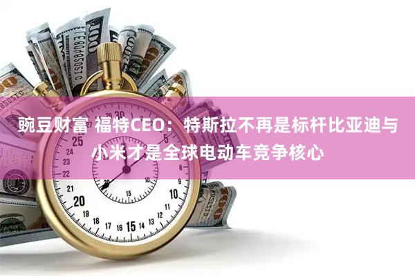 豌豆财富 福特CEO：特斯拉不再是标杆比亚迪与小米才是全球电动车竞争核心