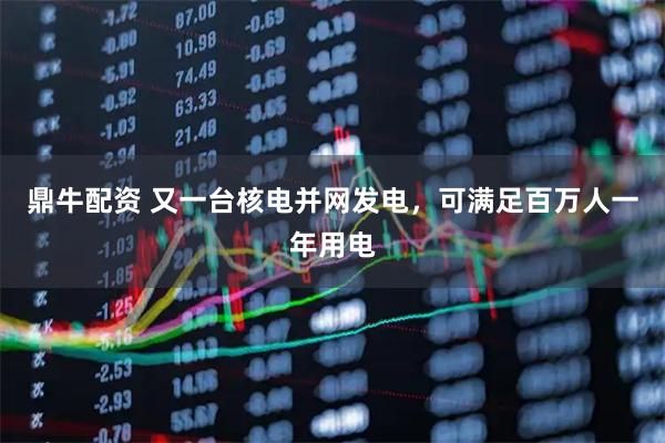 鼎牛配资 又一台核电并网发电，可满足百万人一年用电
